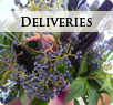 portfolio deliveries