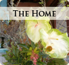 portfolio the home